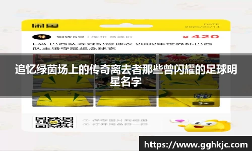 追忆绿茵场上的传奇离去者那些曾闪耀的足球明星名字